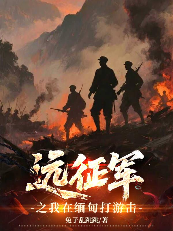 远征军之我在缅甸打游击